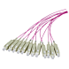 OM4 fibre optique Pigtail Violet SC - 12 pièces