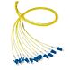 OS2 fibre optique Pigtail Jaune LC / PC - 12 pièces