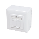 CAT5E UTP / STP Boîte à surface, Blanc