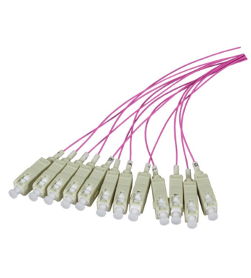 OM4 fibre optique Pigtail Violet SC - 12 pièces